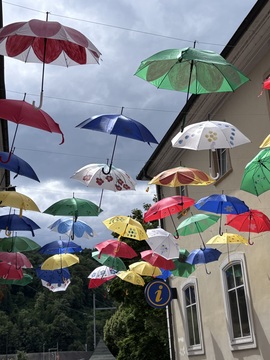 OCVETLIČENJE (4)